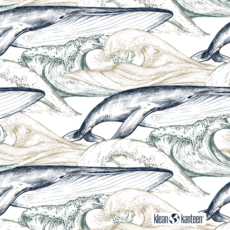 20oz-tkwide-with-twist-cap-ocean-day-o1 20oz_tkwide_bottle_seasonal_ocean_day_whale_artwork_square.png