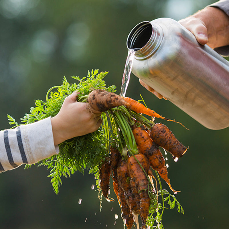 64oz-wide-with-loop-cap-e3 64oz_wide_mouth_bottle_carrots_rinse_square.jpg